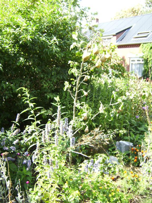 B&B Het Uilennest Bocholt Kültér fotó
