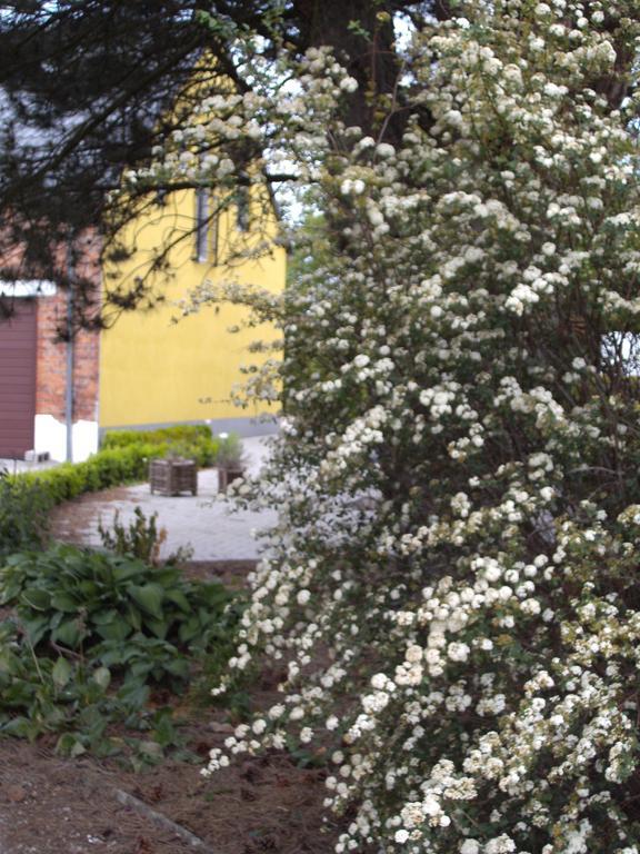 B&B Het Uilennest Bocholt Kültér fotó